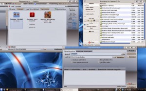 Linux search apps