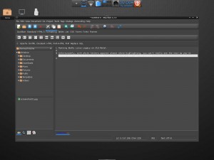 Bodhi Linux Bluefish Text Editor