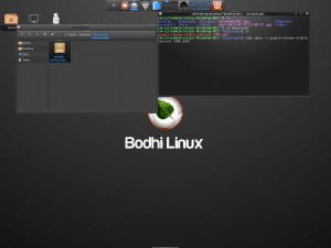 Bodhi Linux Enlightenment File Manager