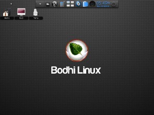 Bodhi 3.0.0 desktop