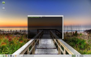 Linux Mint Rebecca Xfce Terminal