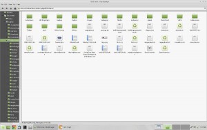 Linux Mint Rebecca Xfce Thunar