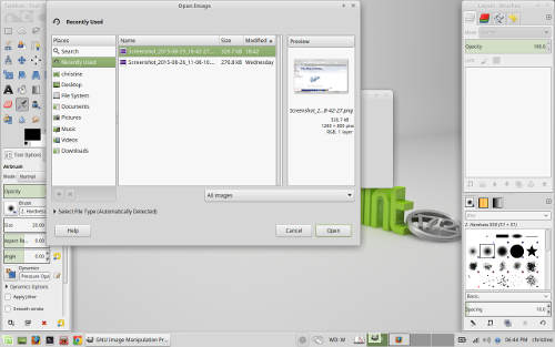 Linux Mint 17.2 Xfce GIMP