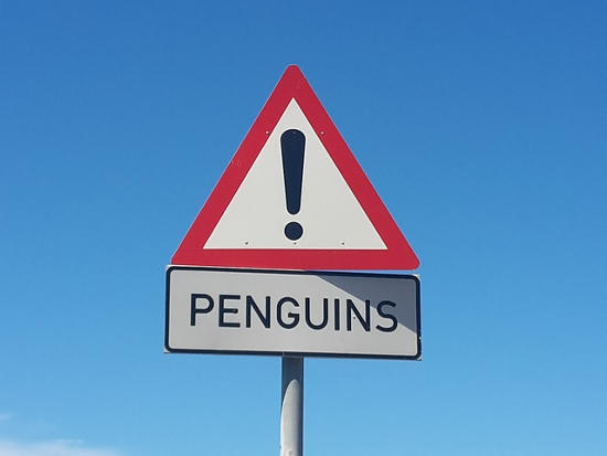 Penguin sign