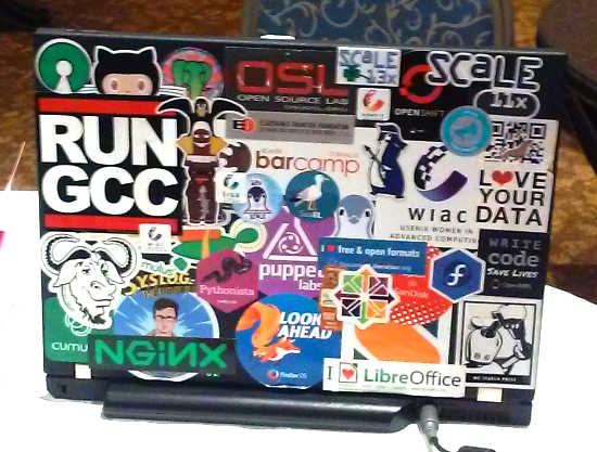thinkpad running BSD