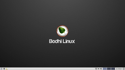 Bodhi Linux Moksha default screen