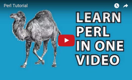 Learn Perl video screenshot