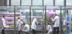 Controlled environment agriculture