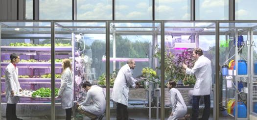 Controlled environment agriculture