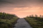 FOSS road to nowhere
