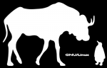 gnu/linux