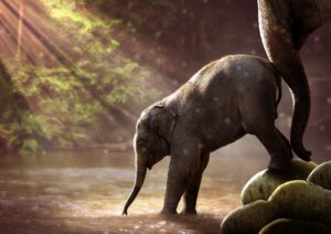 Mother elephant prodding her child into water