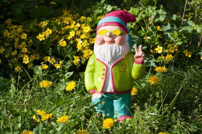 Gnome