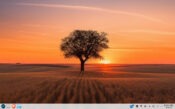 Choosing this placid view from the many options in BigLinux.