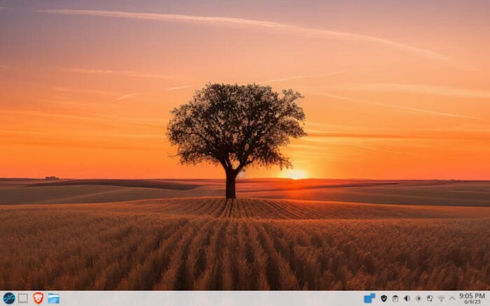 Choosing this placid view from the many options in BigLinux.