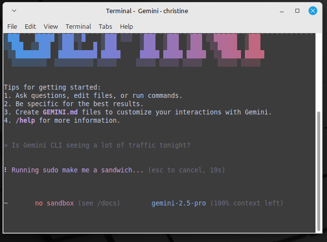 Gemini CLI malfunctioning