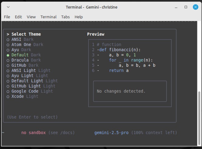 First screen you'll see after installing Gemini CLI.