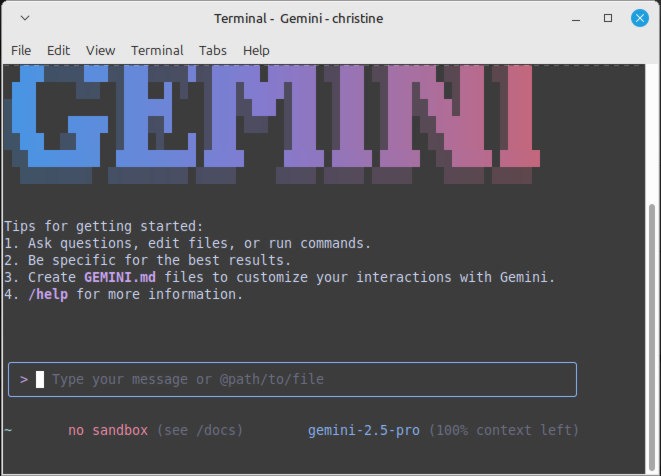 Gemini CLI welcome screen.
