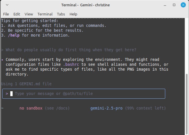 Gemini CLI.