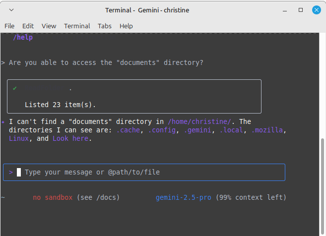 Gemini CLI looking for a directory.