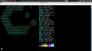 The Fish shell option is one of three available in CachyOS, with the other two being Zsh and Bash.