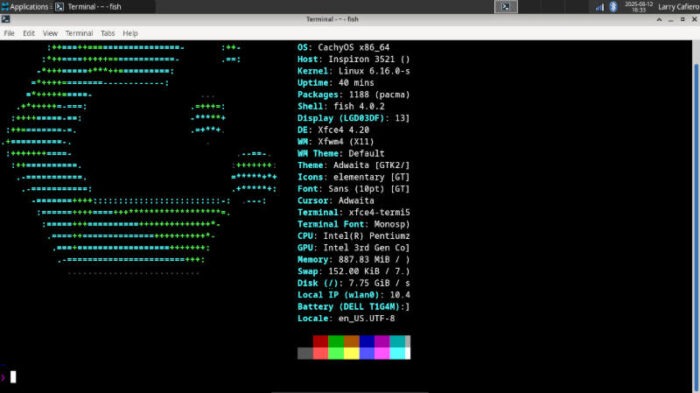 The Fish shell option is one of three available in CachyOS, with the other two being Zsh and Bash.