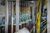 Bottles in bottling plant.