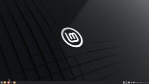 Fun fact: The Linux Mint 22.2 Mate desktop was once the default for Linux Mint.