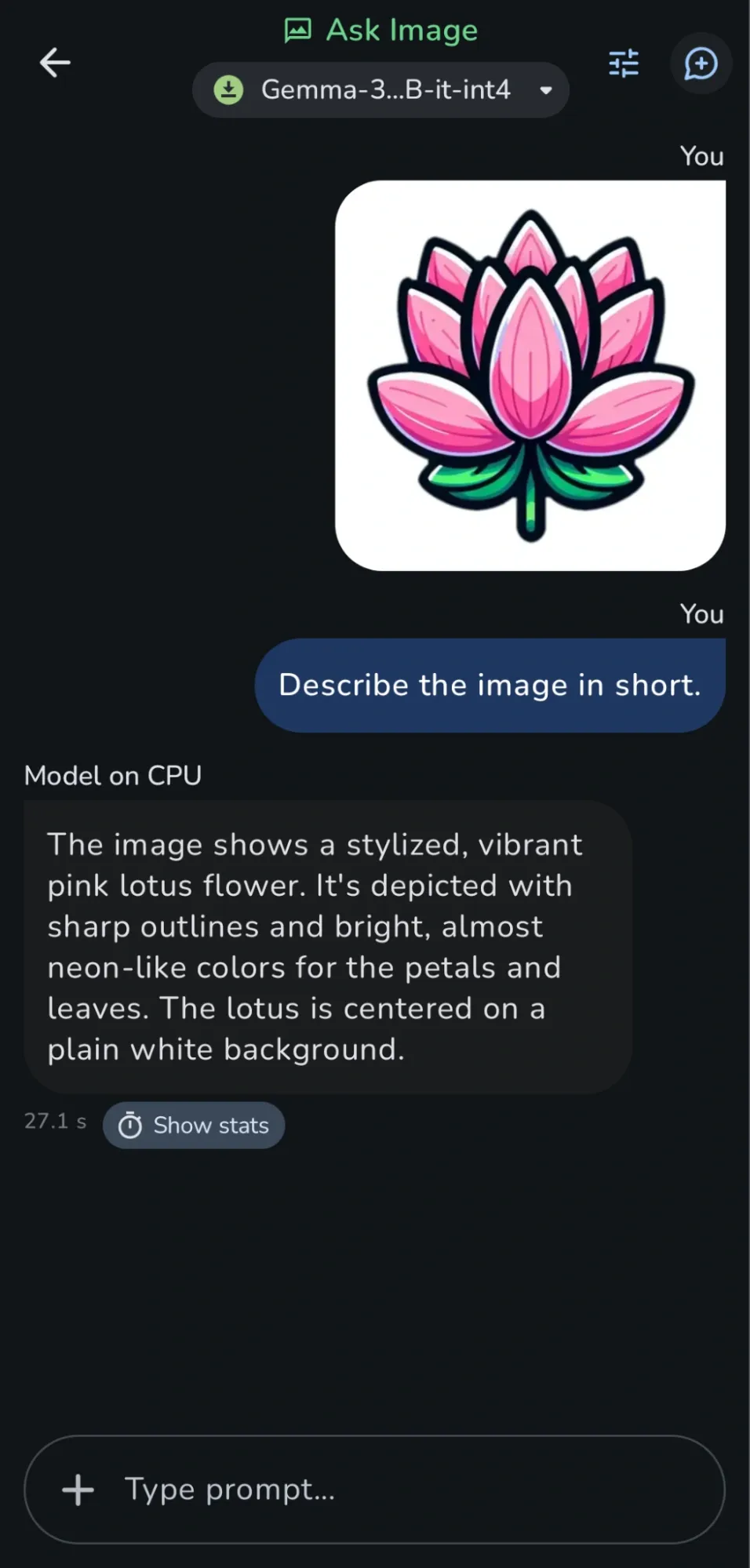 I Ran Local LLMs on My Android Phone
