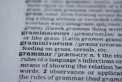 Photo of a dictionary page.