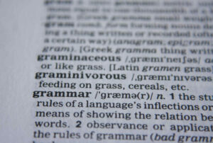 Photo of a dictionary page.