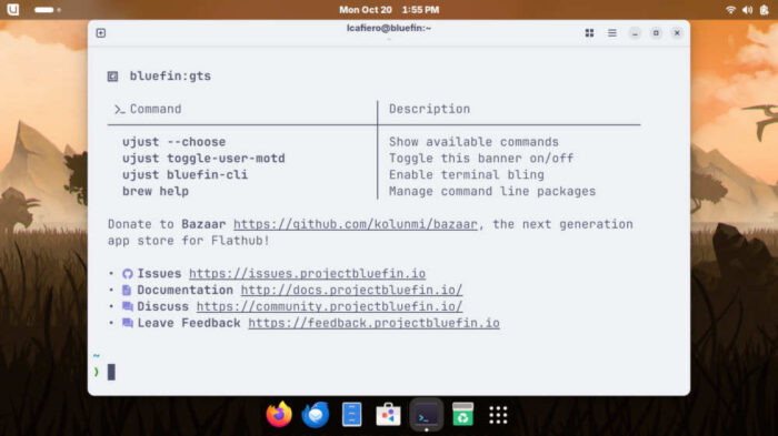 The terminal in Bluefin offers some suggestions before giving the user the prompt.