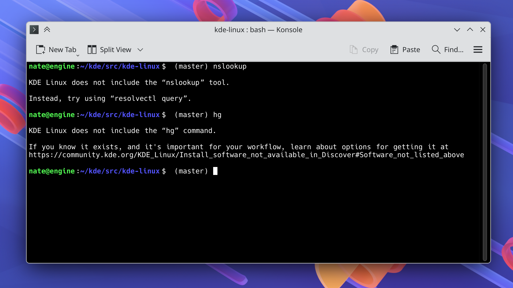 Terminal window depicting the results of trying to run "nslookup" and "hg", both times being referred to an alternative means to achieve the goal