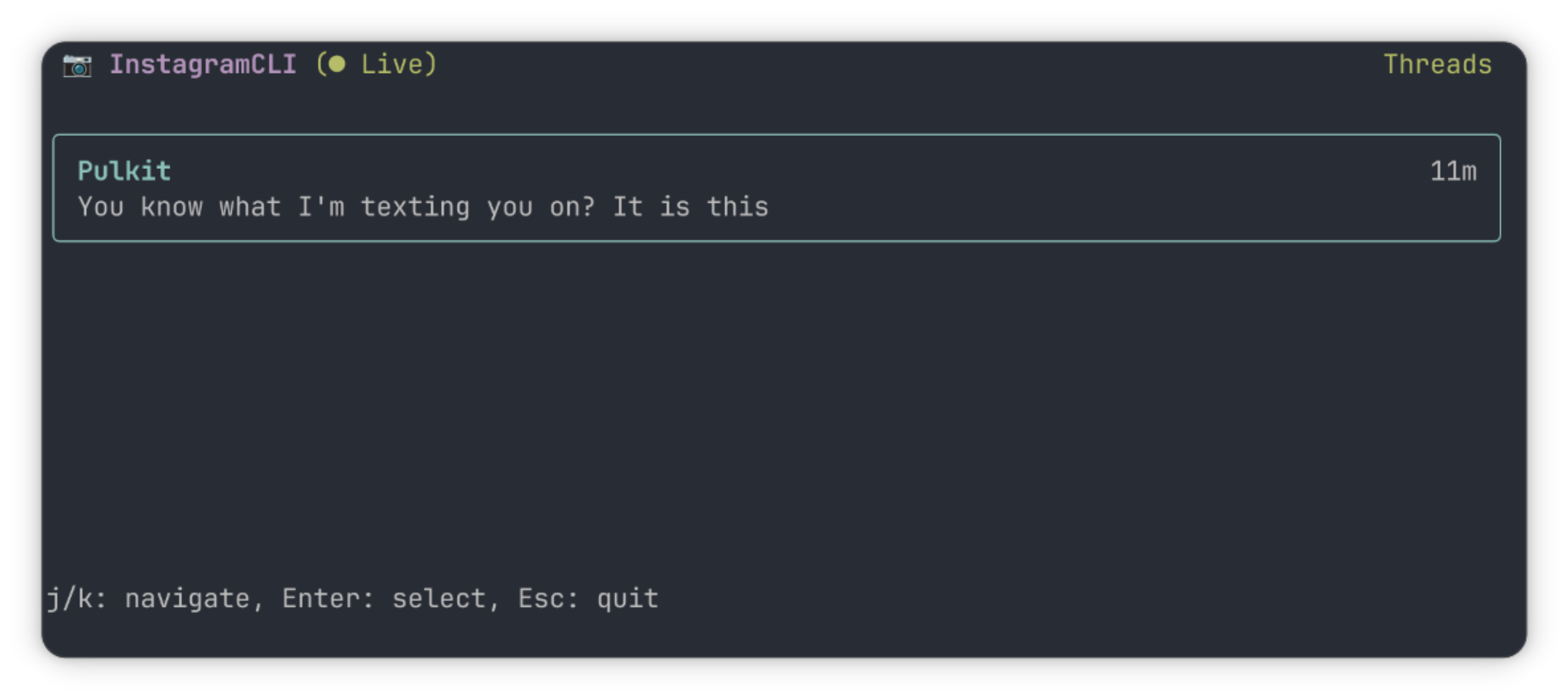 I Used Instagram from the Linux Terminal. It’s Cool Until It’s Not.