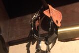 Spurs hanging