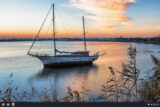 Budgie's default wallpaper shows a boat at anchor with a cityscape in the background.